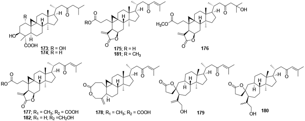 FIGURE 42