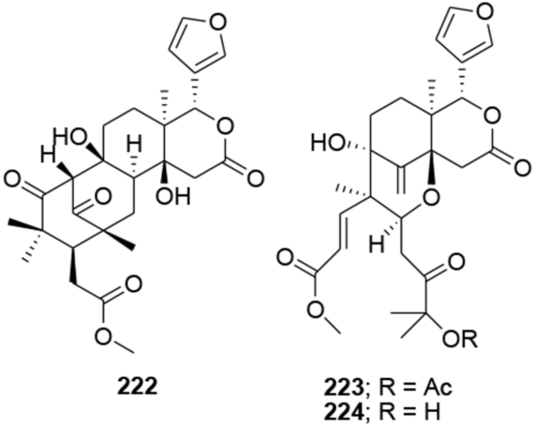 FIGURE 48