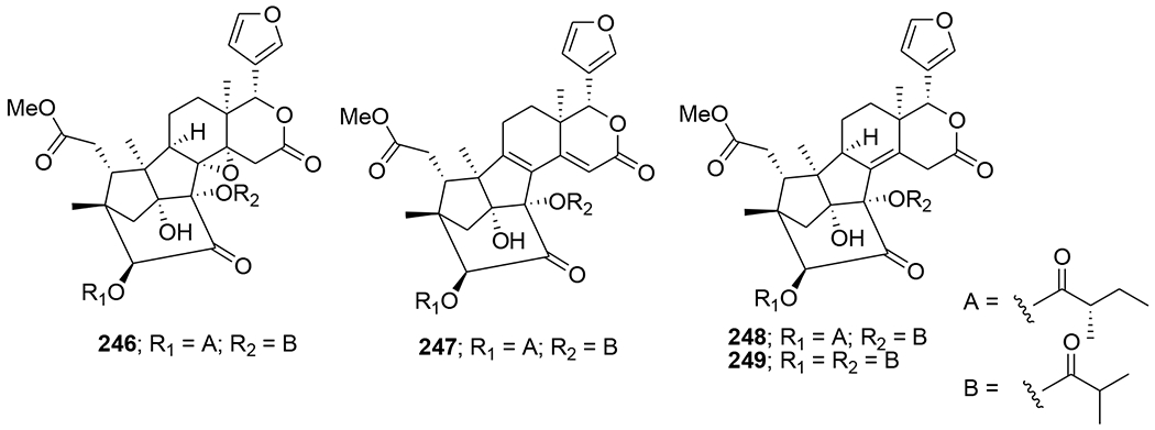 FIGURE 51