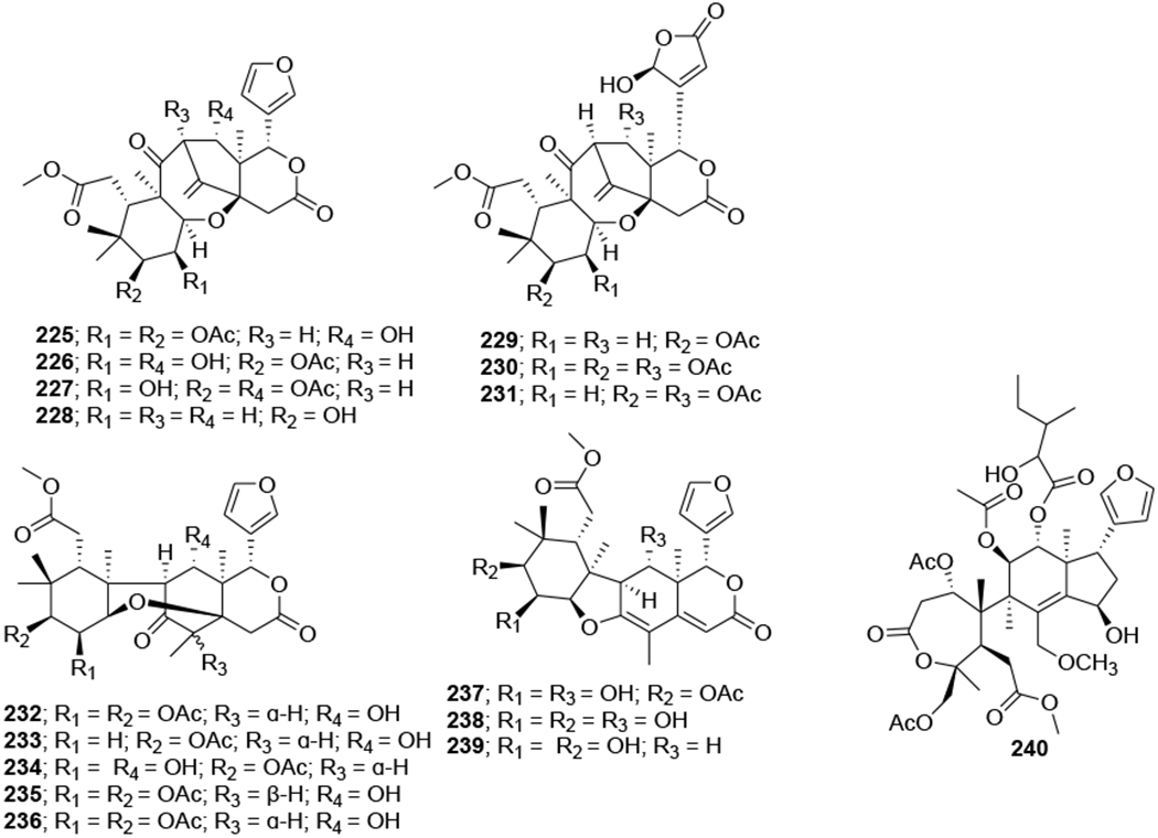 FIGURE 49