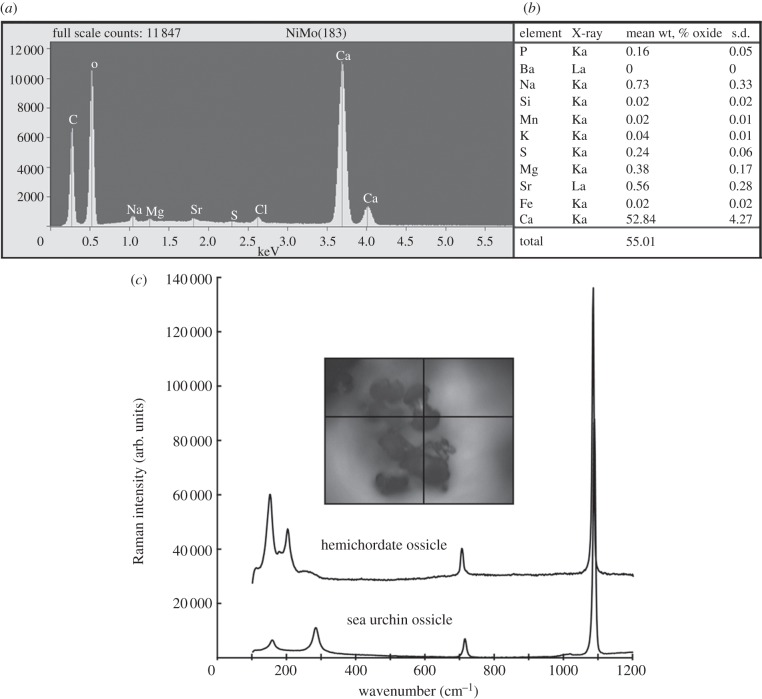 Figure 5.