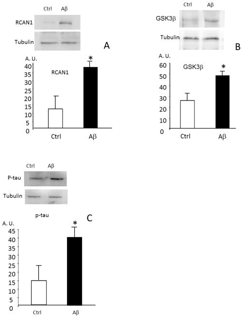 FIGURE 3