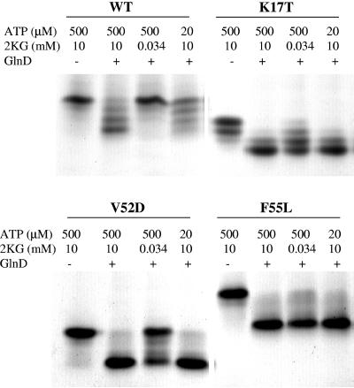 FIG. 5.