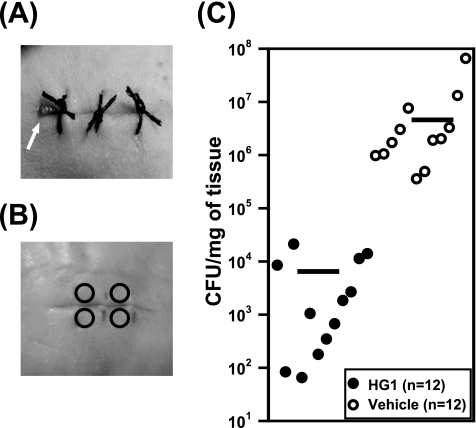 FIG. 3.