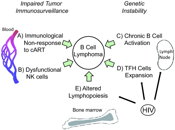 Graphical Abstract Figure.