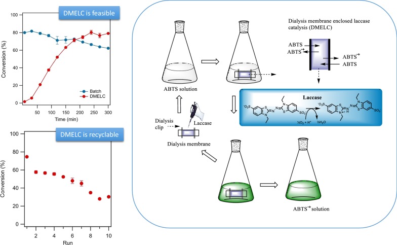 graphic file with name 13568_2020_955_Figa_HTML.jpg