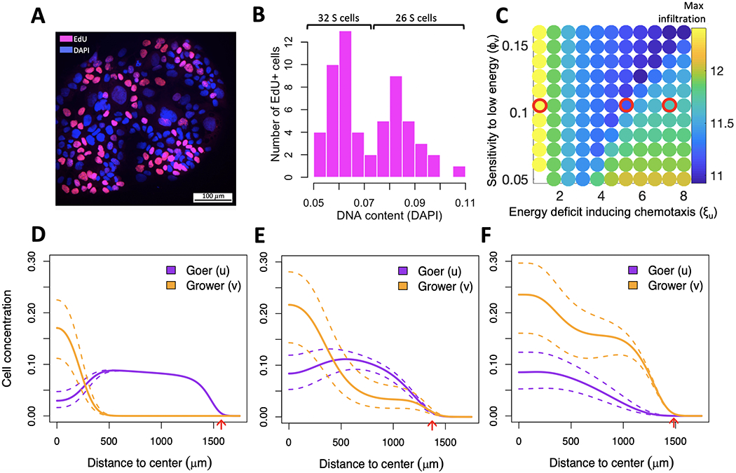 Figure 4: