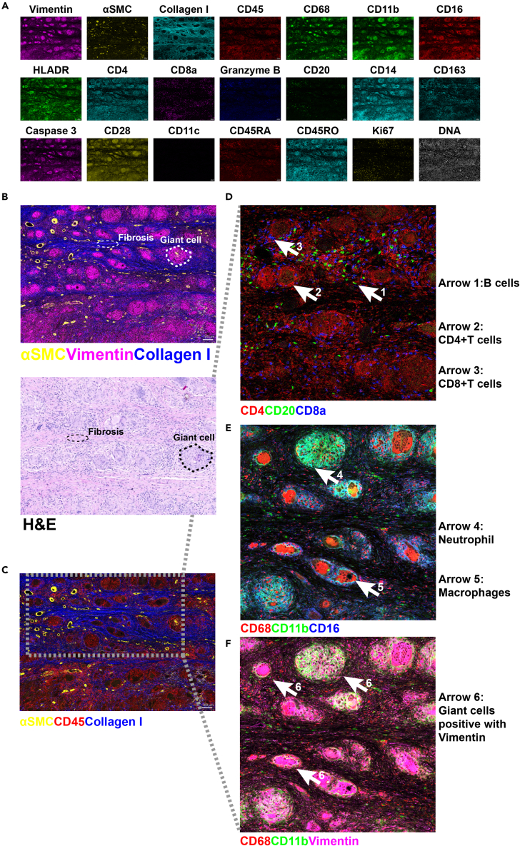 Figure 6