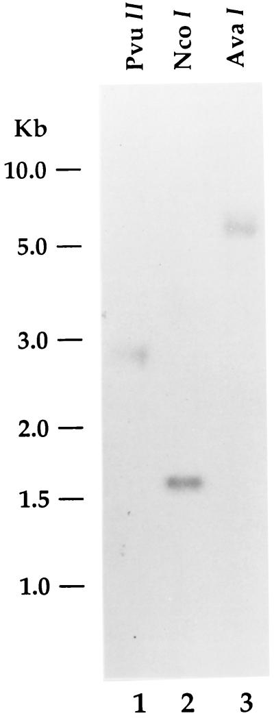 FIG. 6