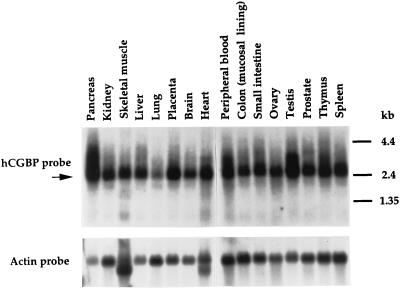 FIG. 10