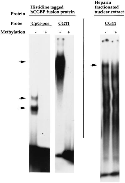 FIG. 9