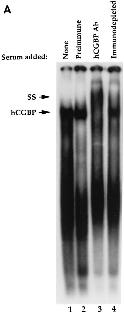 FIG. 8