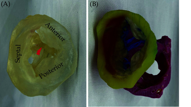 Figure 20