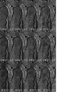 Figure 24