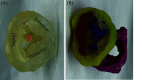 Figure 20