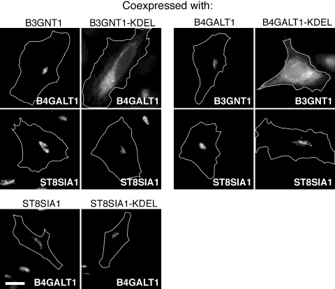 Fig. 5