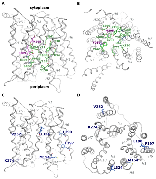 FIGURE 5.