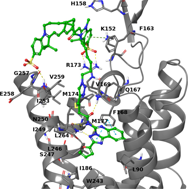 Fig. 8