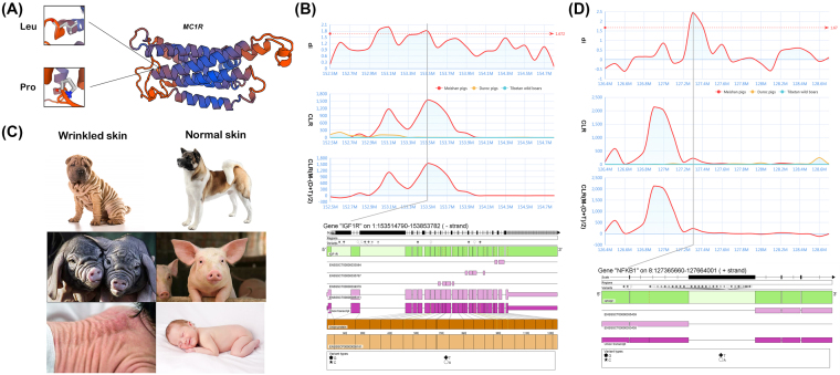 Figure 6: