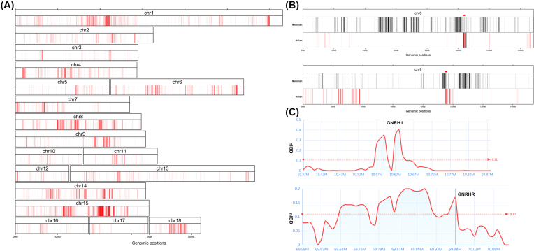 Figure 5: