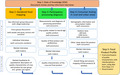 graphic file with name IJFS-56-1115-g002.jpg