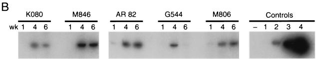 FIG. 2.