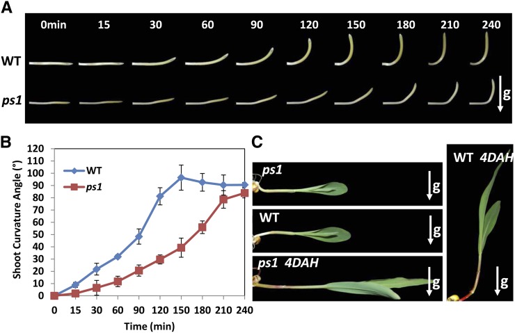 Figure 2.