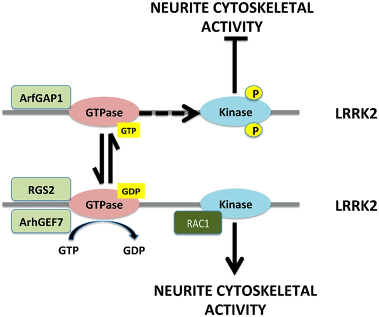 FIGURE 1