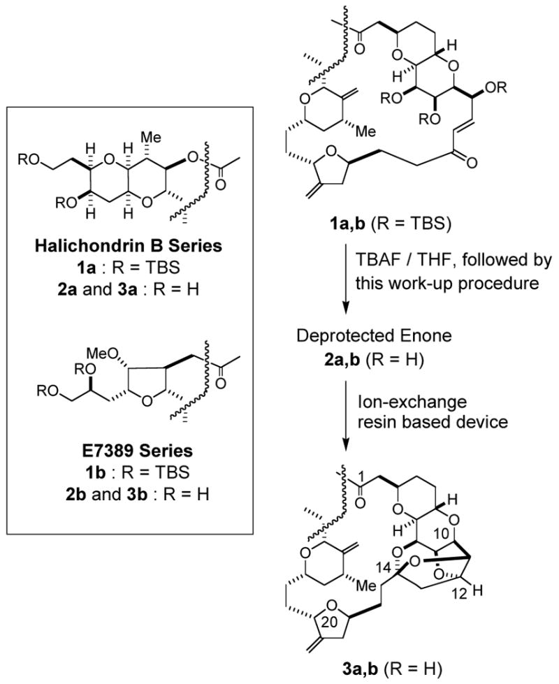 Scheme 4