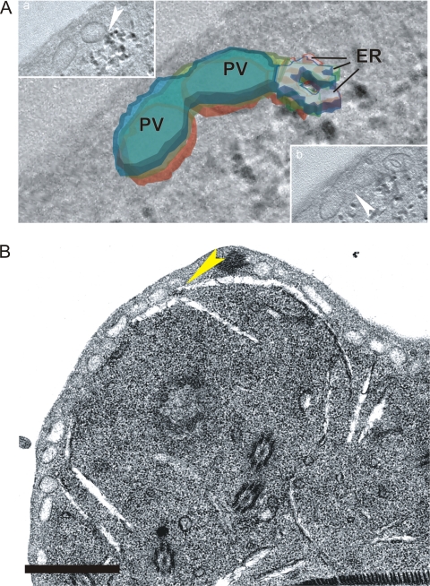 FIG. 8.