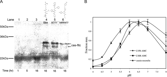 FIG. 4.