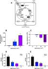 FIG 4