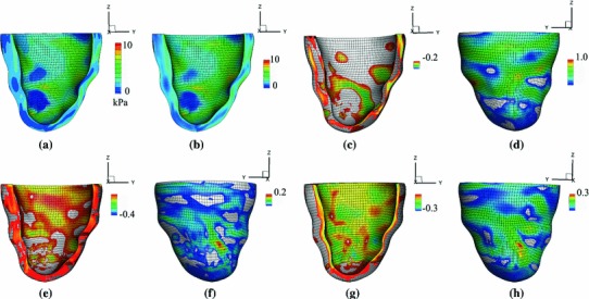 Fig. 12