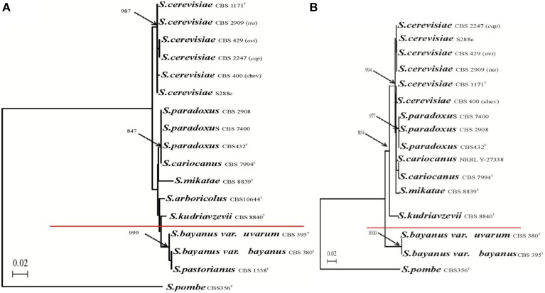 Figure 12