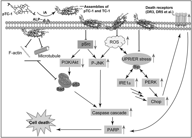 Scheme 1.