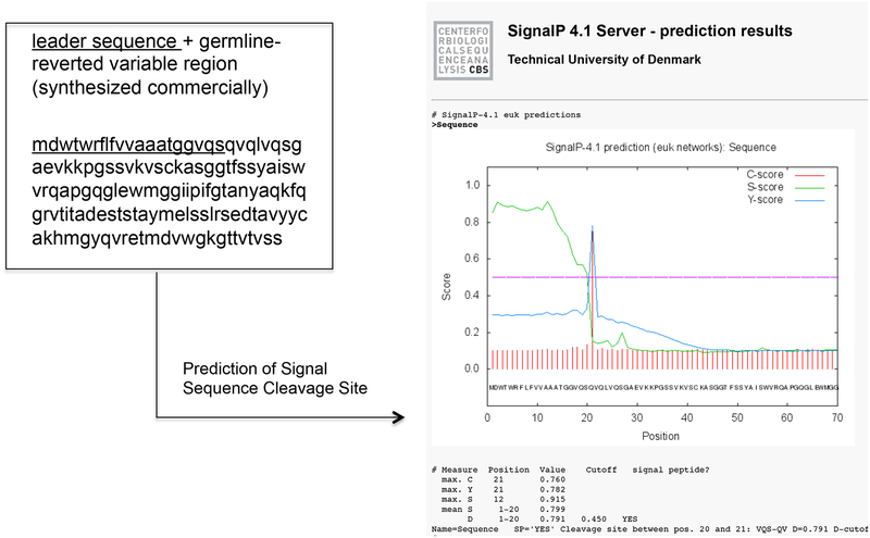 Figure 3.