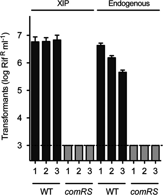 Fig 3