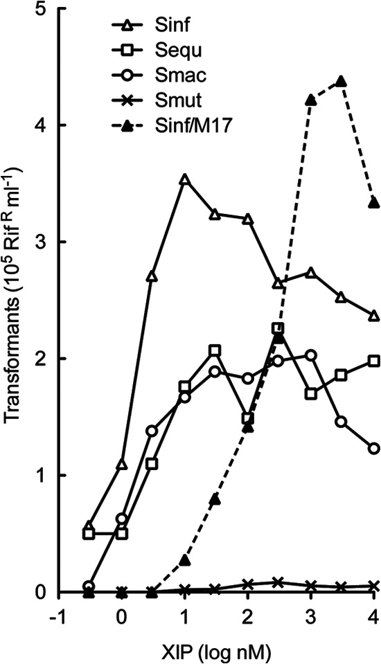 Fig 6