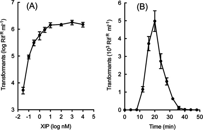 Fig 5