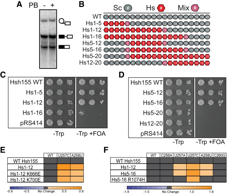 FIGURE 4.