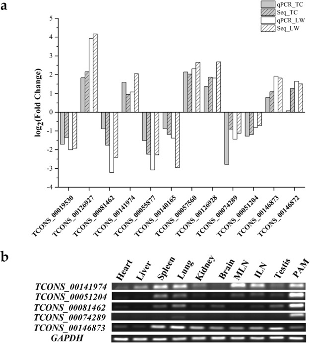 Figure 6