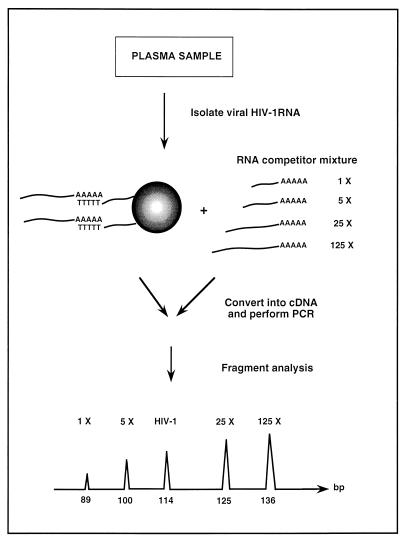 FIG. 1