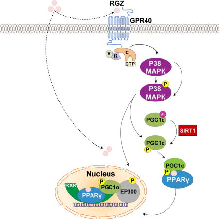 graphic file with name nihms795311u1.jpg