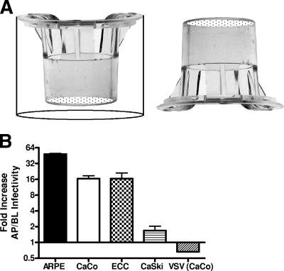 FIG. 1.