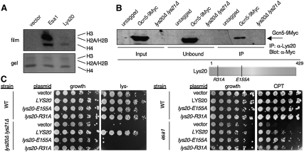 Figure 4.