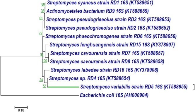 FIGURE 7