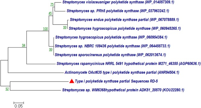 FIGURE 14