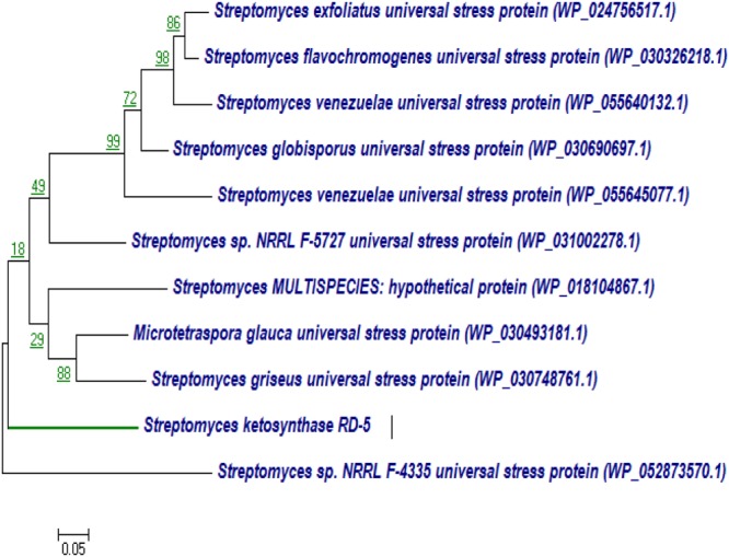 FIGURE 15