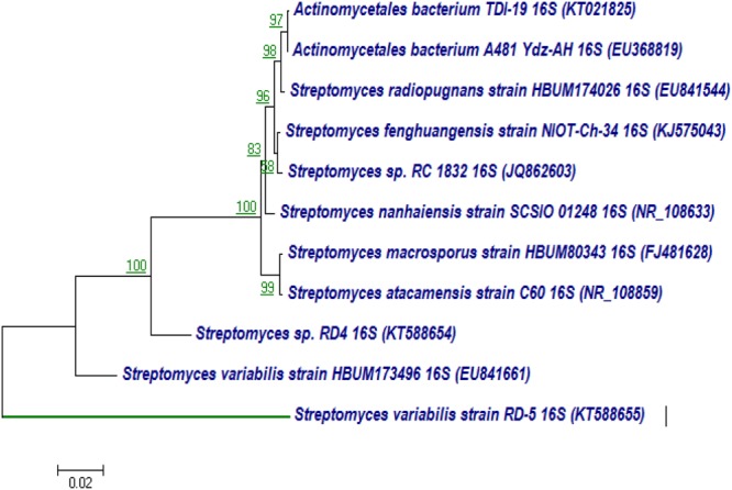 FIGURE 6