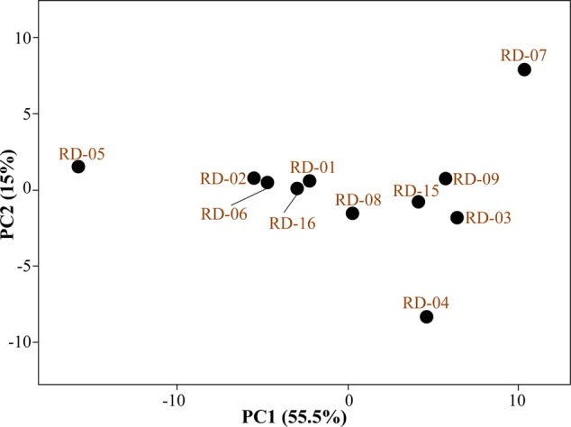 FIGURE 4